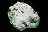 Aragonite Encrusted Fluorite Crystal Cluster - Rogerley Mine #135710-1